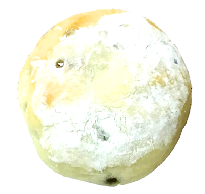 もっちり粒あんパン