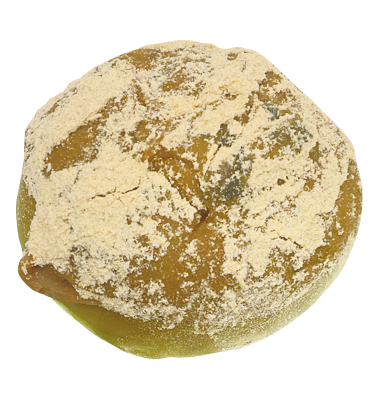 黒豆抹茶きなこあんぱん